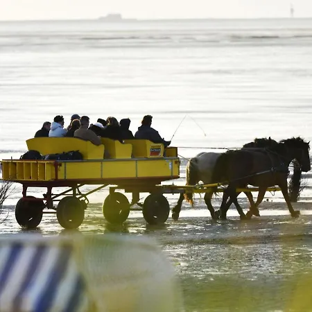 Apartament Strandhochhaus Shc3